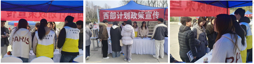 19f9d11abe47e996f3fe4bb00898027